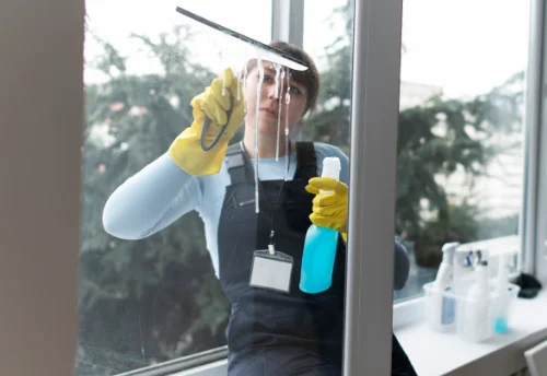 Nettoyage de vitres intérieures et extérieures à Biard
